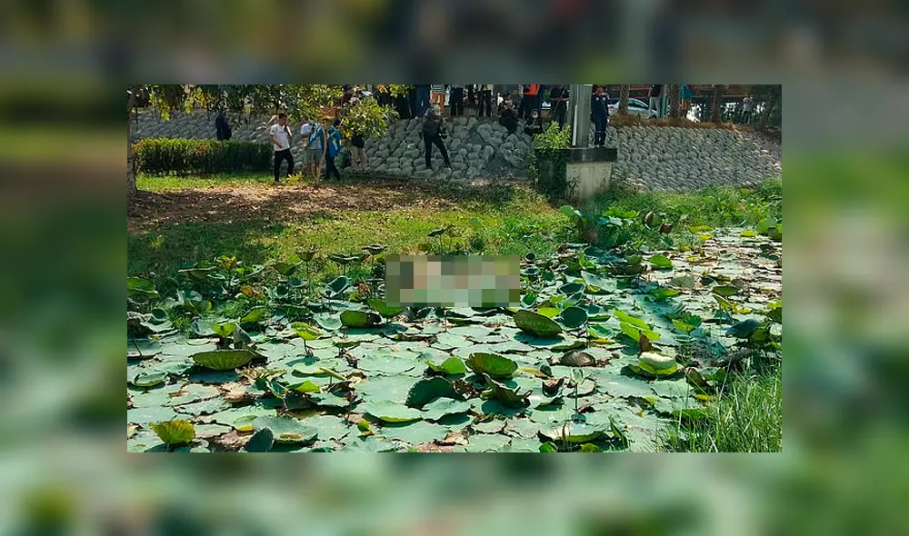 Hallan muerta a jirafa que escapó de camión que la llevaba al zoológico [VIDEO]