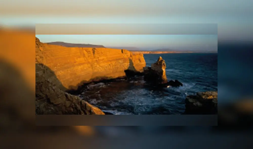 Reserva de Paracas. Foto: Sernanp.