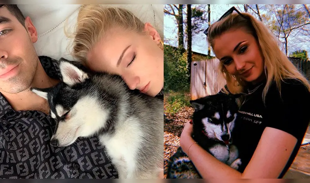 Sophie Turner y Joe Jonas se hacen el mismo tatuaje en homenaje a Waldo