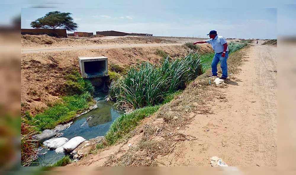 Atentado. Tuberías clandestinas de desagüe descargan en el dren 3000 que va de Chiclayo a Pimentel, ante la ausencia de entidades como el ANA y el OEFA.
