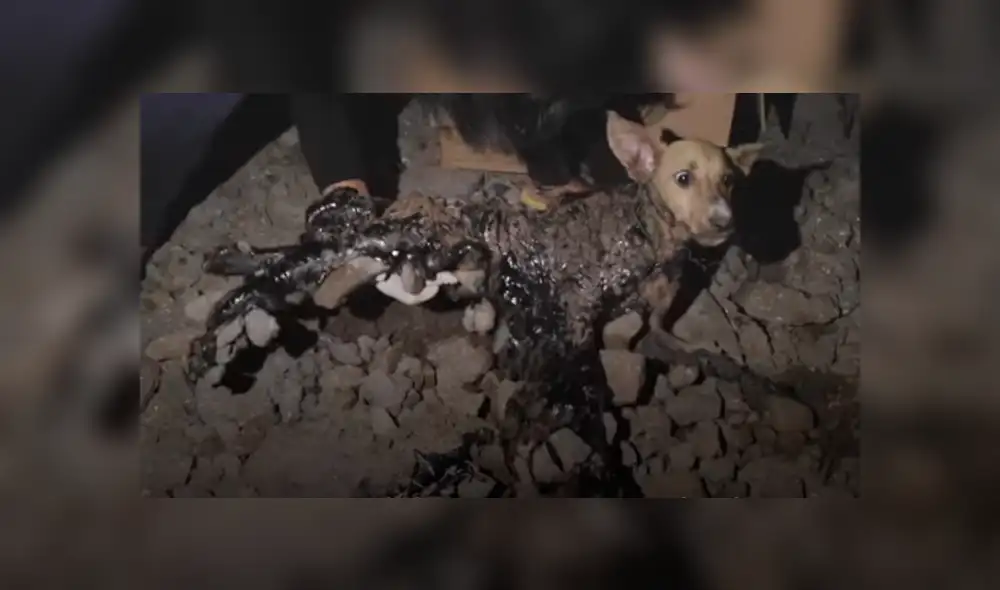 Desliza hacia la izquierda para ver las imágenes del viral de YouTube.