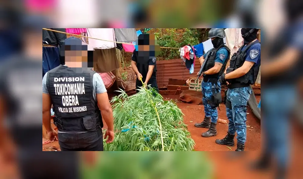 La mujer dijo que usaba el estupefaciente con fines medicinales. (Foto: Internet)