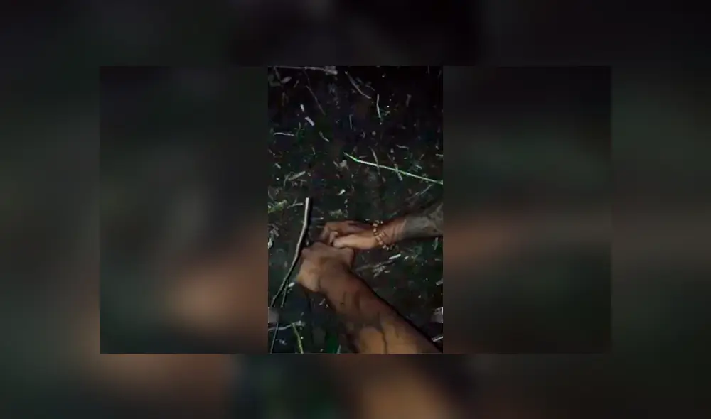 Desliza las imágenes hacia la izquierda para conocer el rescate de tres pequeños perros enterrados vivos.