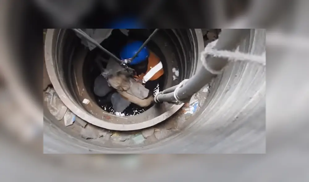 Desliza hacia la izquierda para ver las imágenes del vira del YouTube. Desliza hacia la izquierda para ver las imágenes del vira del YouTube.