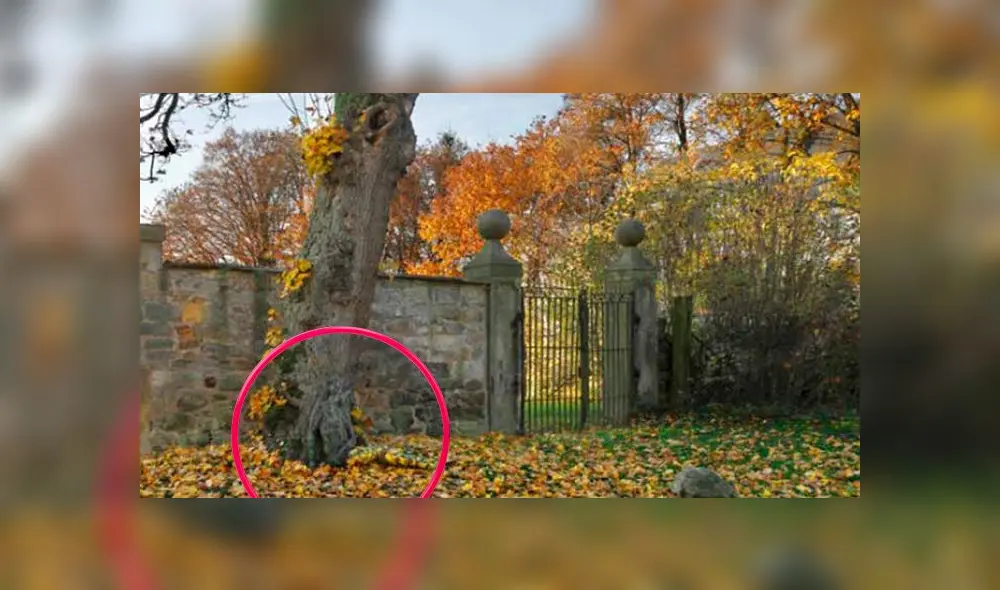 Desliza las imágenes para ver la respuesta de este complejo reto visual de Facebook.Foto: Jörg Düsterwald