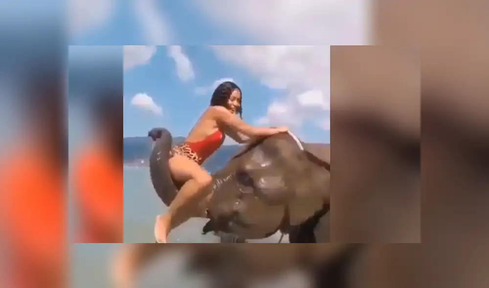 Facebook viral: Intenta tomarse foto sobre la trompa de un elefante y este la deja en ridículo [VIDEO]