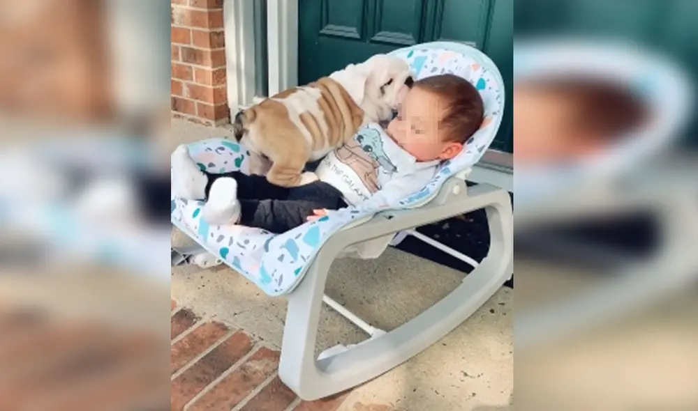 Desliza hacia la izquierda para ver más imágenes de este conmovedor encuentro entre un perro y el bebé de su dueña. Foto: captura de YouTube