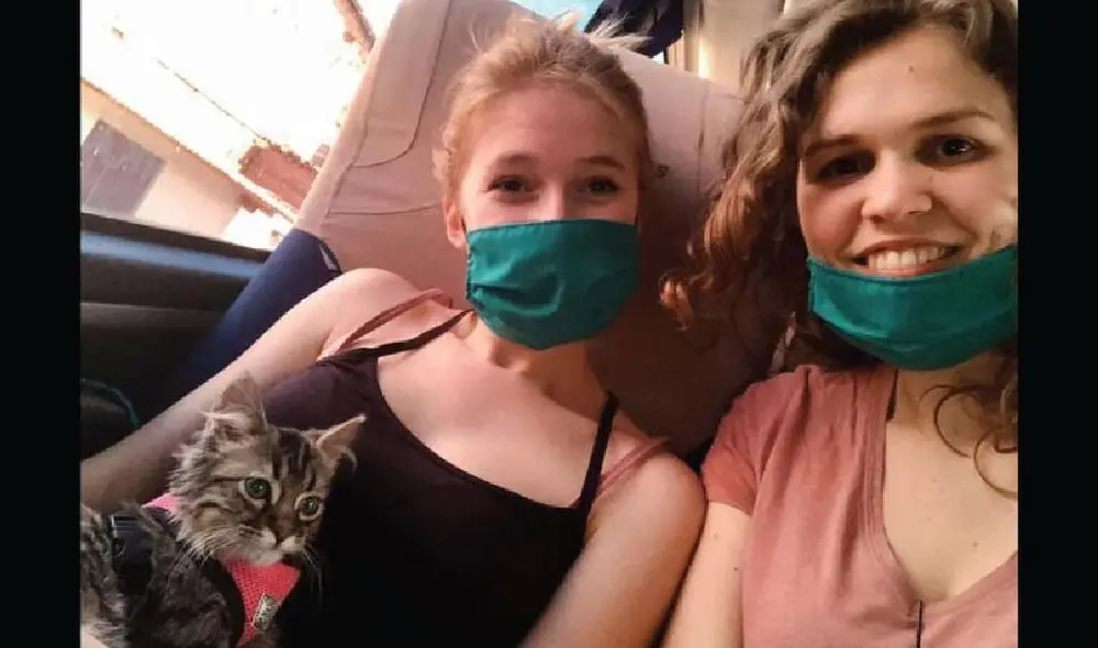 Lee fue adoptado en Cusco pero podría ser sacrificado en Bélgica. Foto: Facebook