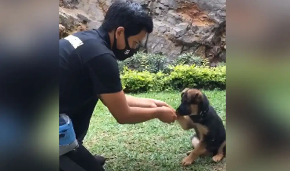 Desliza las imágenes para ver más detalles sobre este video que ha asombrado a miles de usuarios en redes sociales. Foto: captura de TikTok