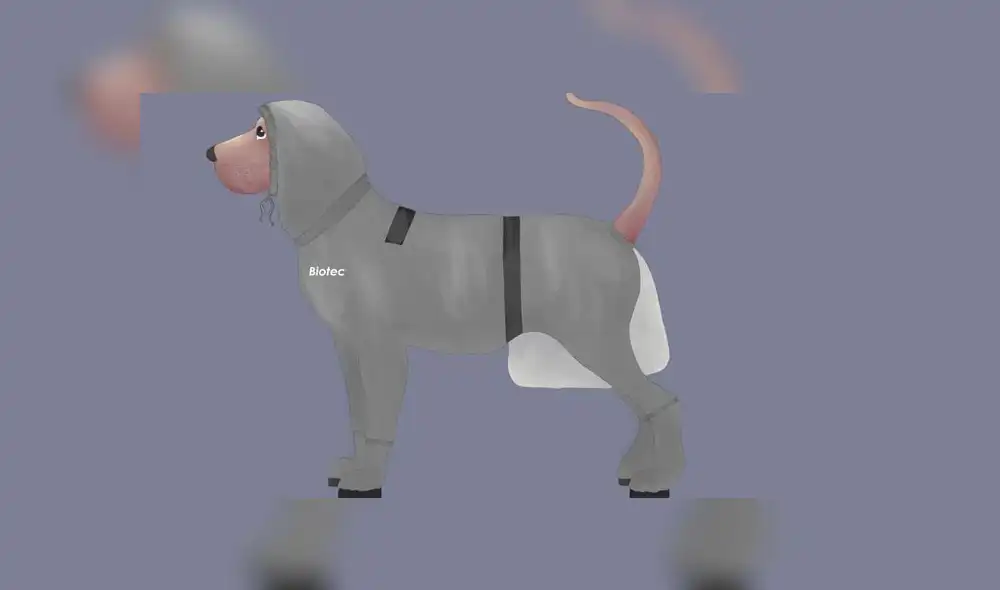 Foto: Andina. Foto: Andina.