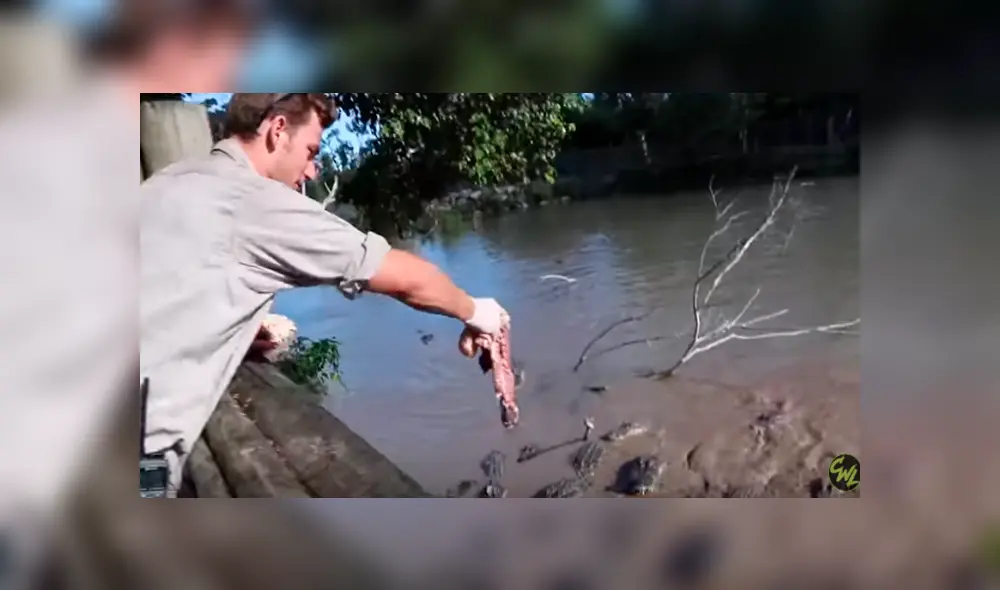 Desliza hacia la izquierda para ver la aterradora reacción de los cocodrilos. Imágenes de Facebook, Desliza hacia la izquierda para ver la aterradora reacción de los cocodrilos. Imágenes de Facebook,