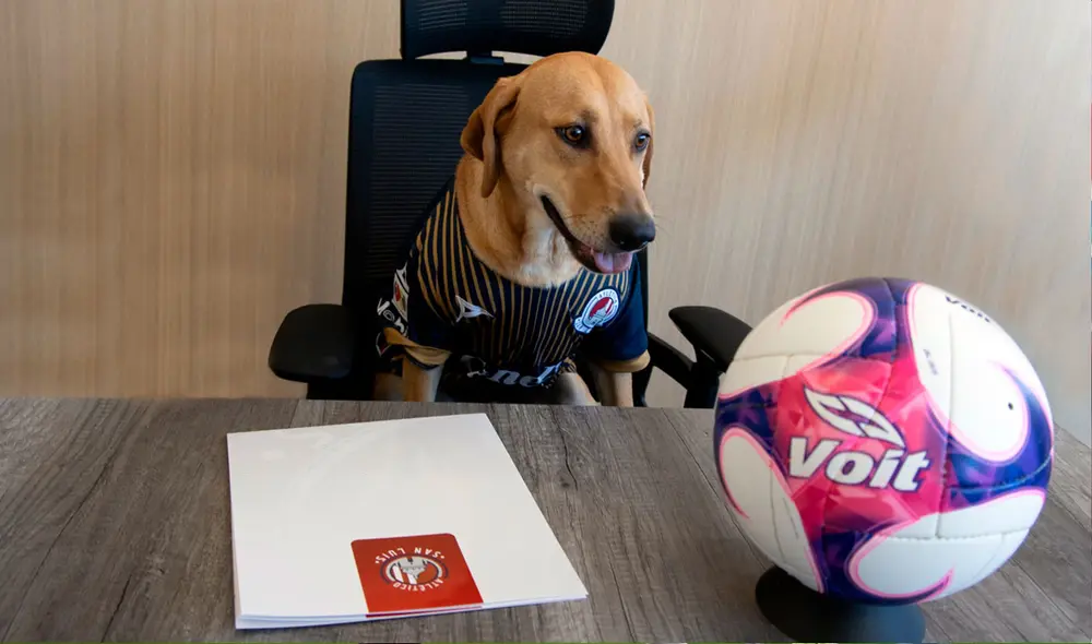 Tunita firmó contrato vitalicio con el conjunto potosino. Foto: @AtletideSanLuis