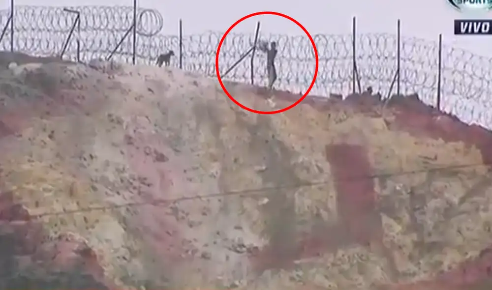 La cadena internacional Fox Sports mostró las imágenes del individuo que arruinó el escudo de Universitario en la previa de la final de Copa Libertadores 2019 desde el estadio Monumental de Ate. La cadena internacional Fox Sports mostró las imágenes del individuo que arruinó el escudo de Universitario en la previa de la final de Copa Libertadores 2019 desde el estadio Monumental de Ate.