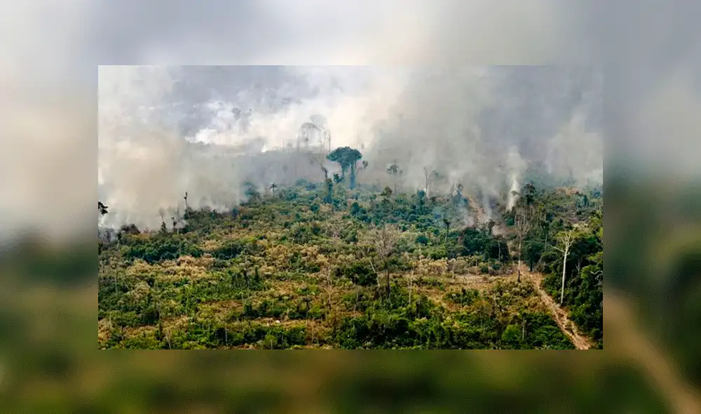Piñera consideró que Bolsonaro no es culpable de incendio en la Amazonía Piñera consideró que Bolsonaro no es culpable de incendio en la Amazonía
