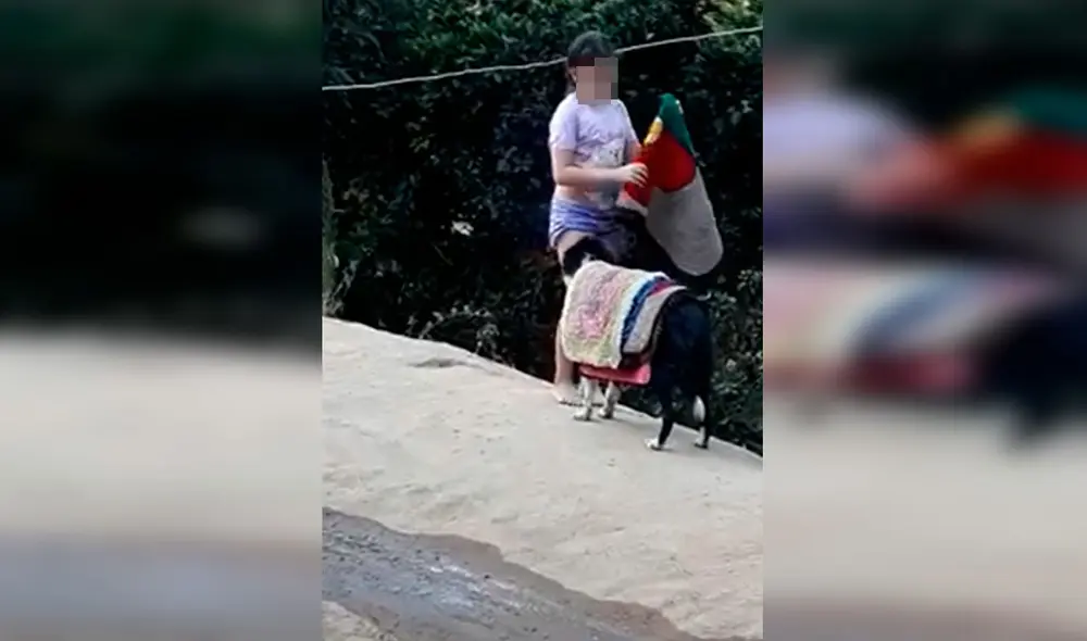 Desliza las imágenes para observar la curiosa escena protagonizada por un perro junto a la hija de su dueña. Foto: Captura de Facebook Desliza las imágenes para observar la curiosa escena protagonizada por un perro junto a la hija de su dueña. Foto: Captura de Facebook