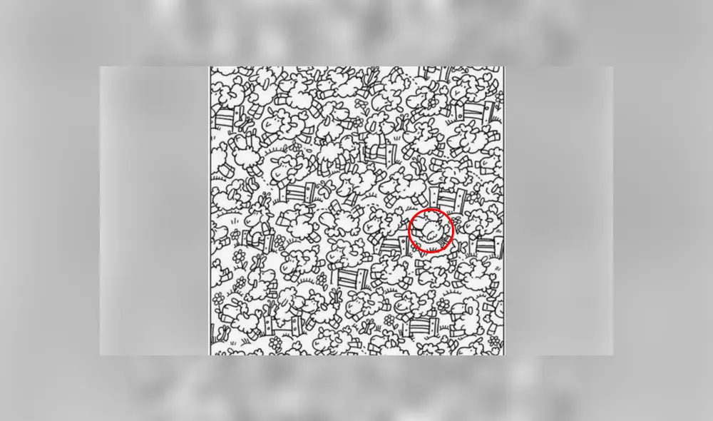 Este complicado reto visual ha puesto en aprietos a gran cantidad de personas en redes sociales. Foto: Facebook Este complicado reto visual ha puesto en aprietos a gran cantidad de personas en redes sociales. Foto: Facebook