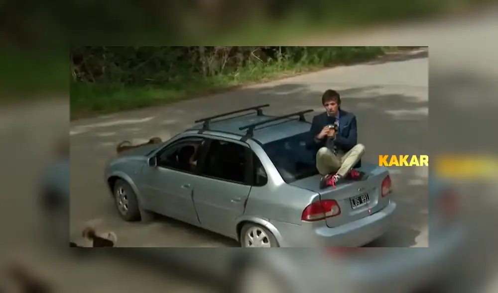 YouTube viral: reportero pasa vergüenza en refugio de animales porque tenía fobia a los perros [VIDEO]