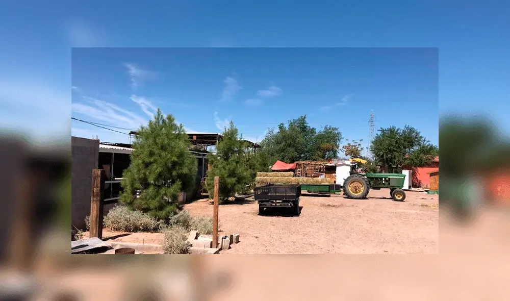 Masacre: Tres niñas son asesinadas con disparos a la cabeza por Cártel de Sinaloa Masacre: Tres niñas son asesinadas con disparos a la cabeza por Cártel de Sinaloa