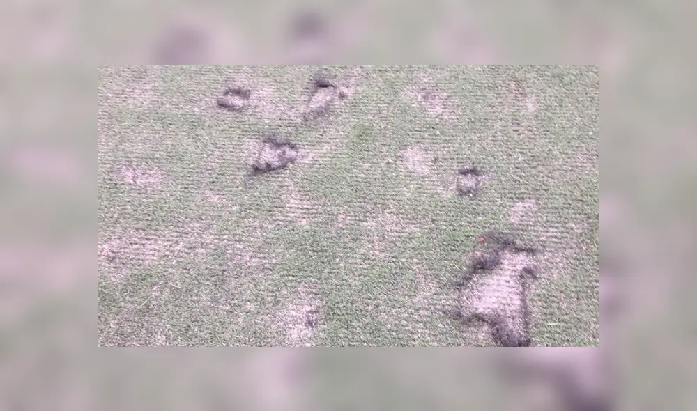 El Estadio Lolo Fernández está en malas condiciones y el equipo femenino de Universitario de Deportes se ve afectado.