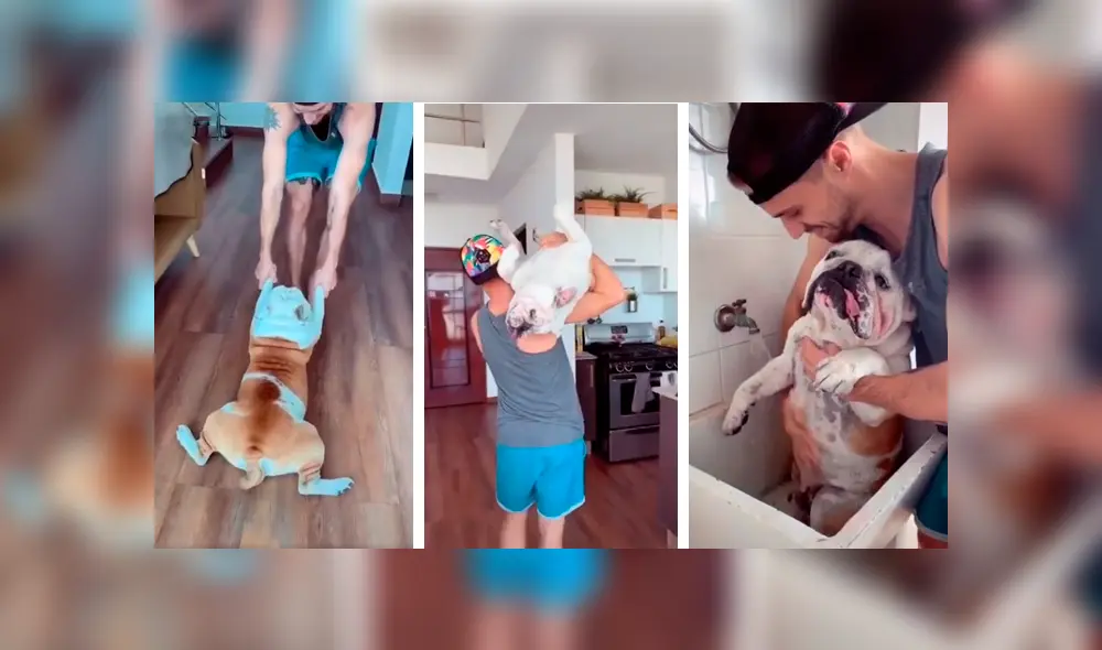 Desliza las imágenes hacia la izquierda para apreciar el comportamiento de un perro para evitar bañarse. Foto: Captura.