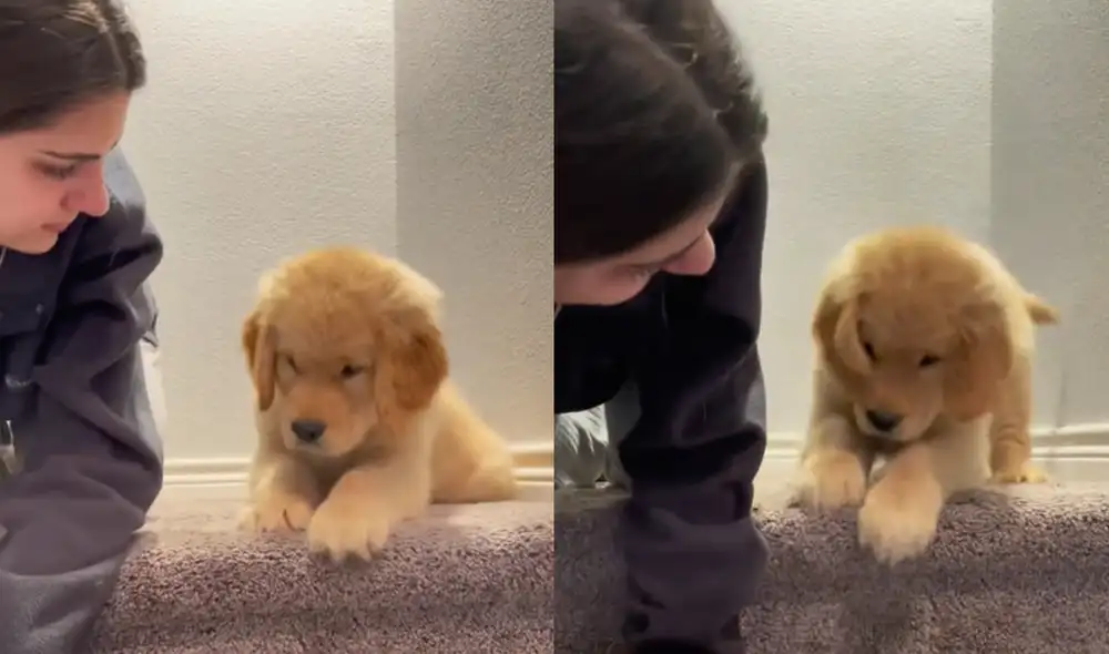 Este hecho sucedió en Estados Unidos. Foto: composición LR / TikTok / @goodboybodie