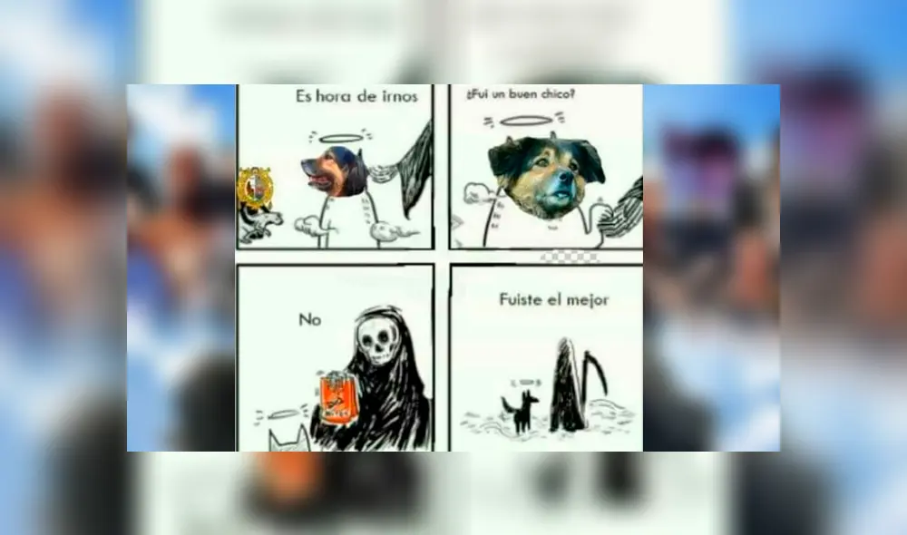 Facebook viral: alumnos de la UNMSM despiden a su 'Perrovaca' con sentimentales memes [FOTOS] 