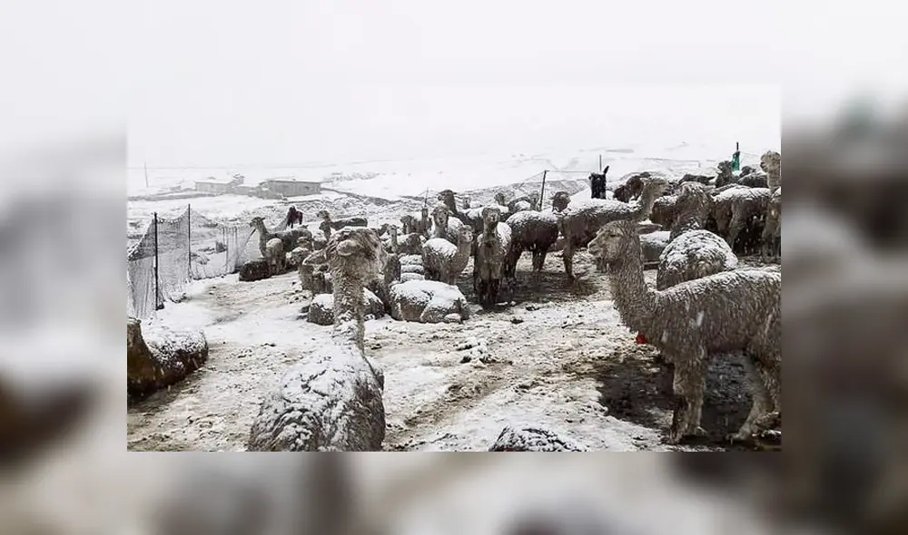 Bajas temperaturas en zonas de la sierra llegarán hasta los 20 grados bajo cero