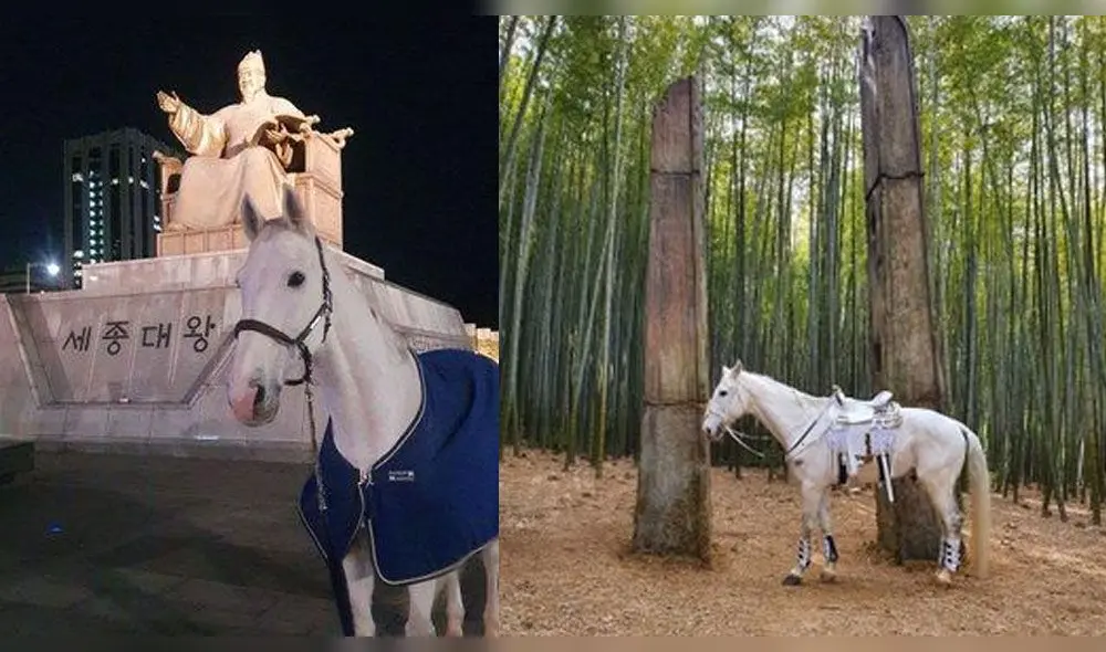 Desliza para ver más fotos de Lee Min Ho y el caballo Maximus de The king: Eternal monarch. Desliza para ver más fotos de Lee Min Ho y el caballo Maximus de The king: Eternal monarch.