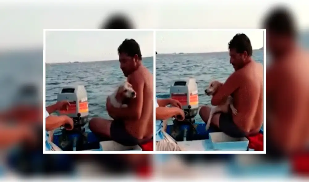 Pescadores logran rescatar a un perro que nadaba y luchaba por su vida en mar abierto [VIDEO]