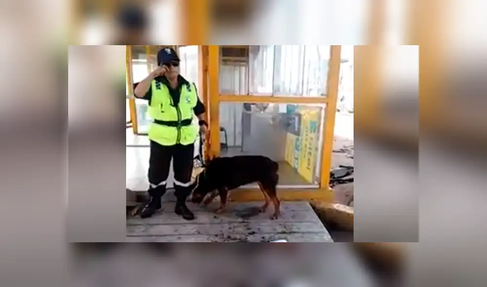 Facebook viral: sereno peruana echa agua a perro sofocado por calor extremo [VIDEO]