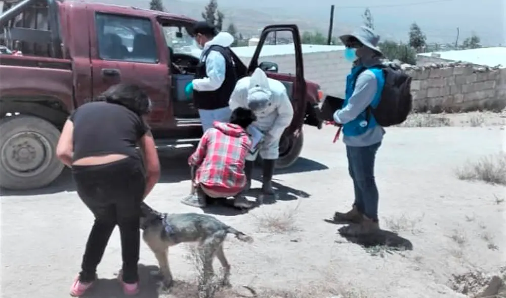 Equipos de salud realizan vacunación contra la rabia en zonas focalizadas. Foto: Geresa-