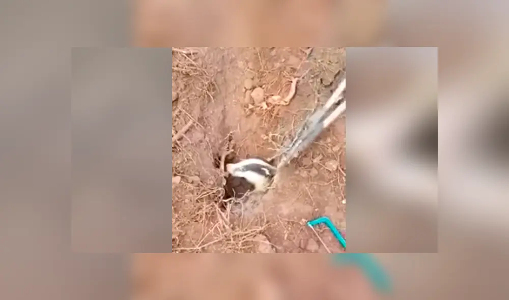 Desliza hacia la izquierda para ver las imágenes del video viral de YouTube.