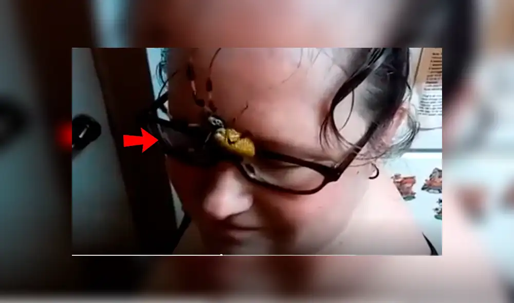 Facebook viral: retan para que joven coloque peligrosa araña en su rostro y sucede lo inesperado [VIDEO]