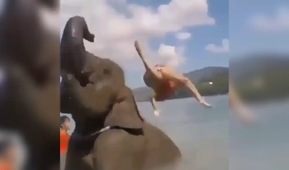 Facebook viral: Intenta tomarse foto sobre la trompa de un elefante y este la deja en ridículo [VIDEO]