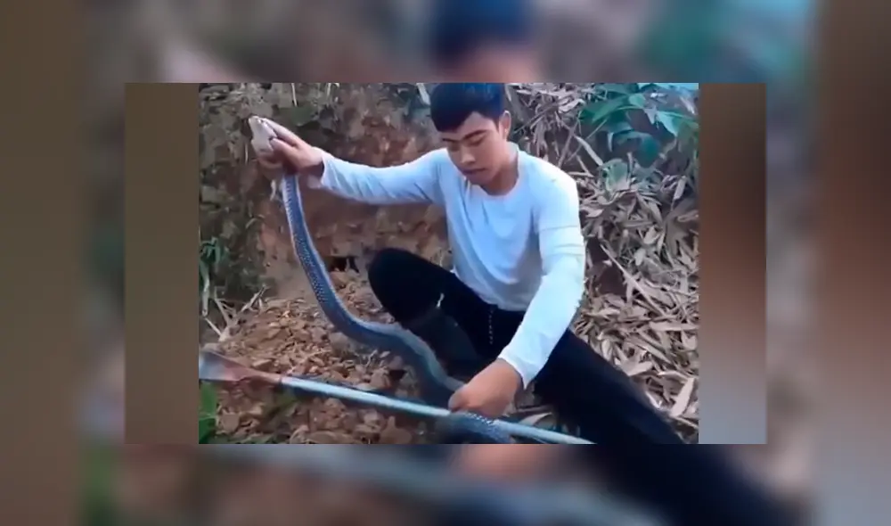 Desliza hacia la izquierda para ver las enormes serpientes dentro de un hoyo. Desliza hacia la izquierda para ver las enormes serpientes dentro de un hoyo.