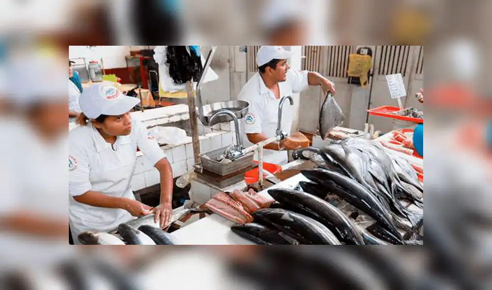Venderán pescado fresco a precios de promoción en Trujillo