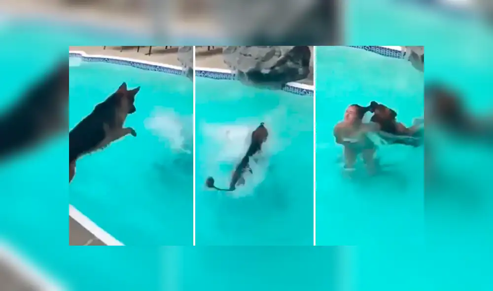 Dueña de perro simula que se asfixia dentro de piscina y osado can se lanza para rescatarla. Dueña de perro simula que se asfixia dentro de piscina y osado can se lanza para rescatarla.