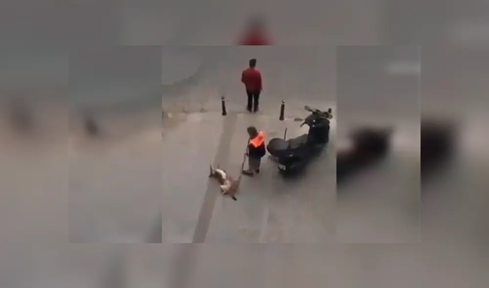 El can aprovechó el trabajo del empleado de limpieza para obtener un momento de relajo. La hilarante escena se ha hecho viral en Facebook El can aprovechó el trabajo del empleado de limpieza para obtener un momento de relajo. La hilarante escena se ha hecho viral en Facebook