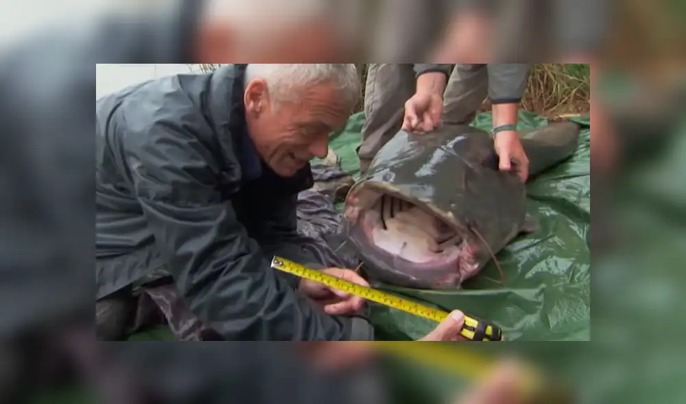 YouTube viral: investigadores encuentran a misteriosa criatura que causa terror en usuarios [VIDEO]