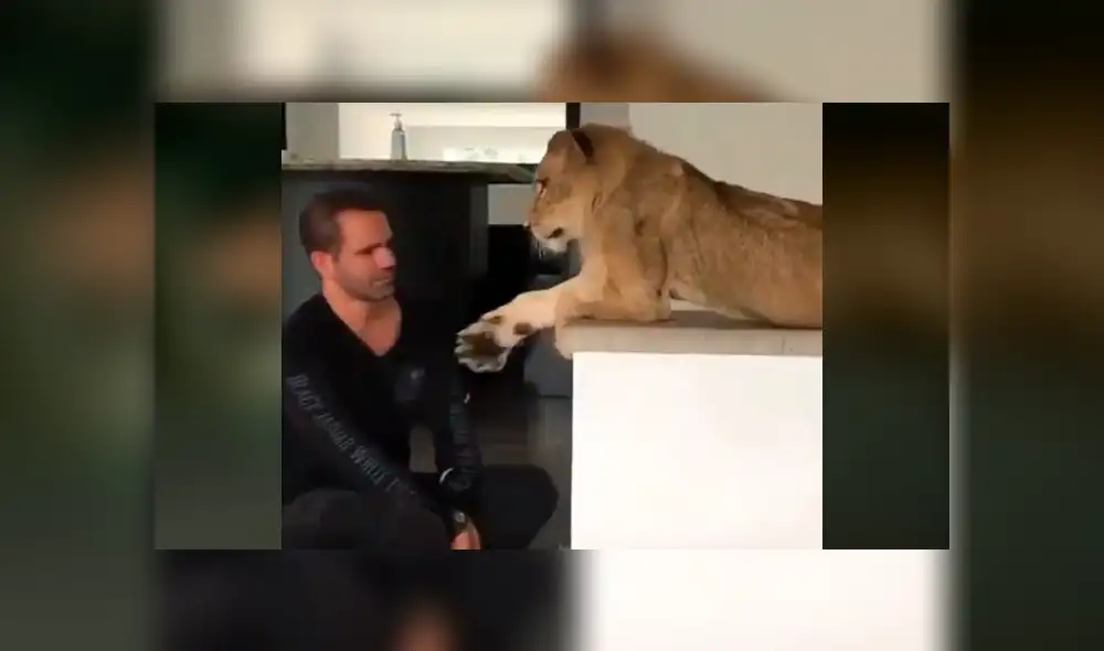 El protagonista del video viral de Facebook colocó su mano en las fauces de una leona arriesgando su vida.