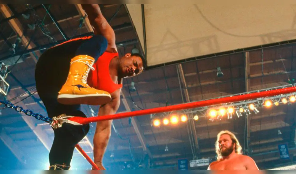 WWE: 10 celebridades que han luchado en Wrestlemania [FOTOS]