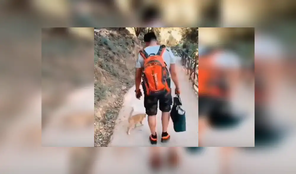 El felino persiguió a su amo e intentó retenerlo con una peculiar conducta que se ha hecho viral en YouTube El felino persiguió a su amo e intentó retenerlo con una peculiar conducta que se ha hecho viral en YouTube