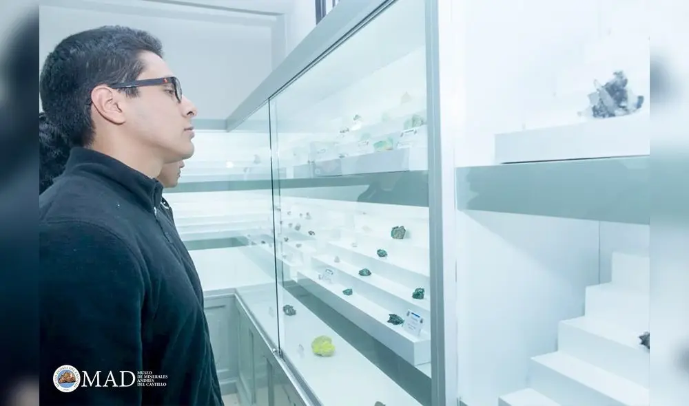 Exposición. Exposición.