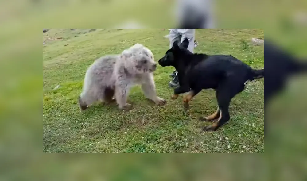 Desliza para ver los momentos más emotivos del video que se hizo viral en YouTube. Desliza para ver los momentos más emotivos del video que se hizo viral en YouTube.