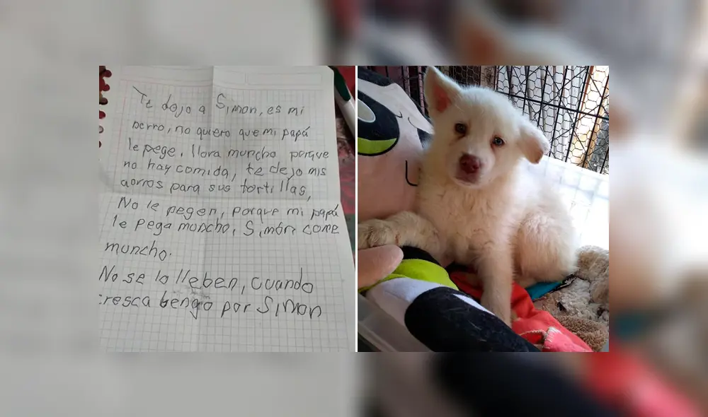 Niño deja a su perro en albergue para que no lo sigan maltratando en su casa [FOTOS]