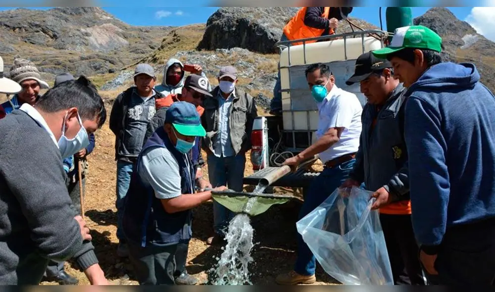 criadero de truchas para beneficio de productores