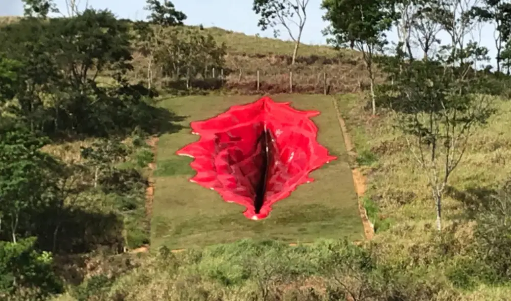 Vagina Foto: Facebook/ Juliana Notari