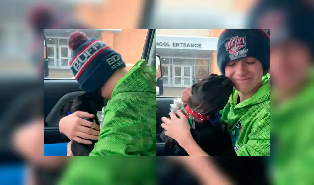 Vía YouTube: Mira el conmovedor reencuentro entre un niño y su mascota perdida. Foto: Captura.