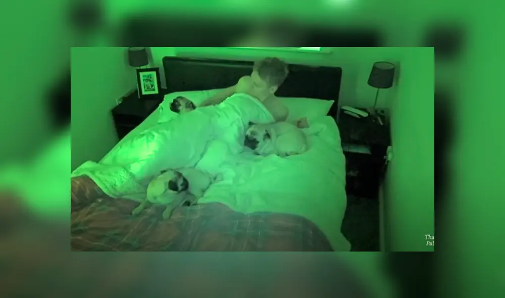 Desliza hacia la izquierda para ver las imágenes del viral de YouTube. Video: ViralHog