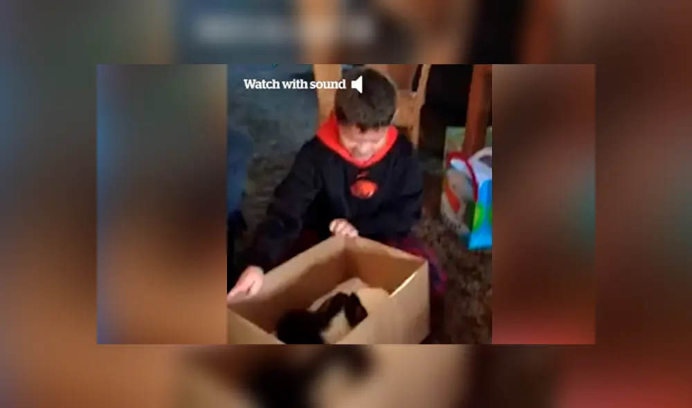 Desliza hacia la izquierda para ver la reacción que tuvo un niño al encontrar un perro dentro de una caja de regalo. El video es viral en Facebook. Desliza hacia la izquierda para ver la reacción que tuvo un niño al encontrar un perro dentro de una caja de regalo. El video es viral en Facebook.